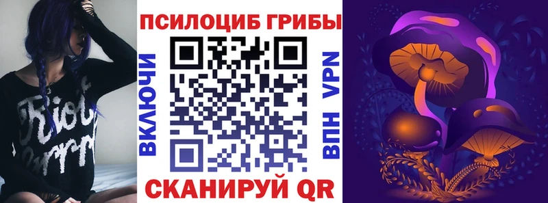 купить закладку  Бронницы  Галлюциногенные грибы мицелий 